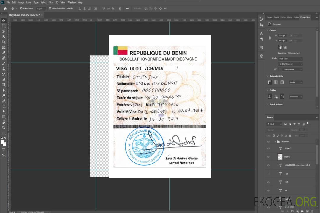 Visa de voyage BÉNIN template